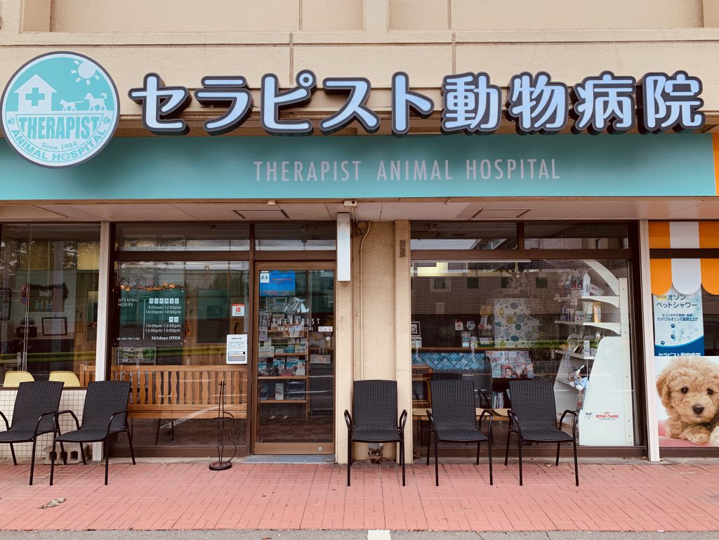 病院紹介 町田市 セラピスト動物病院 ペットホテル トリミング 日曜日も診療