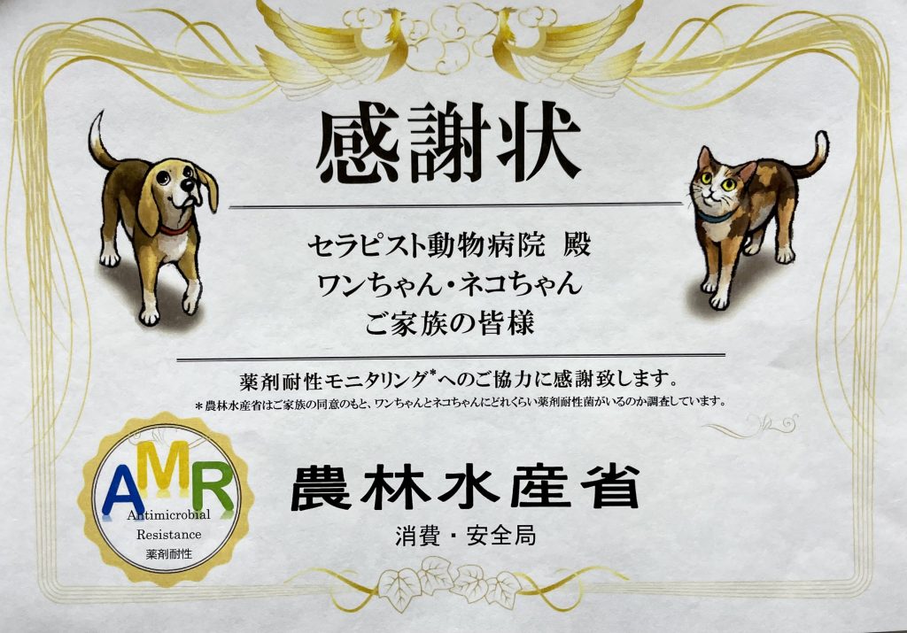 AMR感謝状